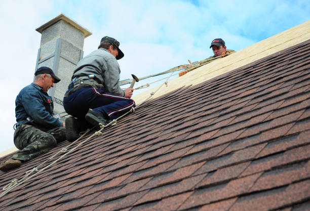 Best Roof Gutter Cleaning  in Sunnyvale, TX